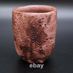 0718b Ken Matsuzaki Japanese Shino ware pottery Yunomi Tea Cup with Box