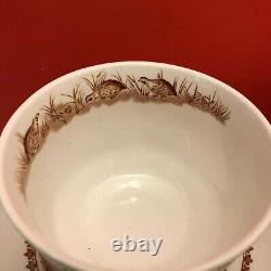 10 sets Vtg 1921 Furnival's Quail pattern teacup saucer made in England transfer