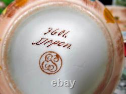 1861 Erdmann Schlegelmilch tea cup and saucer painted large German teacup floral