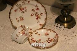 1890s Antique SPRAY No. 30 Demitasse Trio Tea Cup Saucer Plate Rust colour Rare