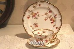 1890s Antique SPRAY No. 30 Demitasse Trio Tea Cup Saucer Plate Rust colour Rare