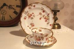 1890s Antique SPRAY No. 30 Demitasse Trio Tea Cup Saucer Plate Rust colour Rare