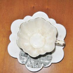 1898 Americana Historic Rare Antique Emerson Foley Tea Cup & Scallop Saucer