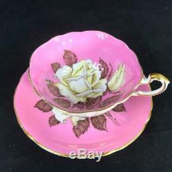 1940s Paragon Double Warrant Floating Large White Rose PINK Cup Saucer MINT
