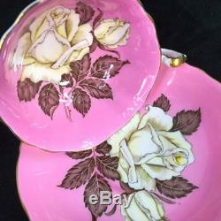 1940s Paragon Double Warrant Floating Large White Rose PINK Cup Saucer MINT