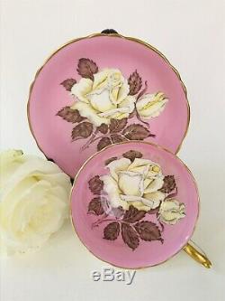 1940s Pink Paragon Huge White Cabbage Rose teacup A277 Beautiful