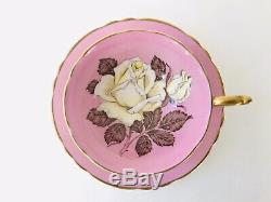 1940s Pink Paragon Huge White Cabbage Rose teacup A277 Beautiful