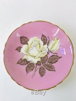 1940s Pink Paragon Huge White Cabbage Rose teacup A277 Beautiful