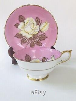 1940s Pink Paragon Huge White Cabbage Rose teacup A277 Beautiful