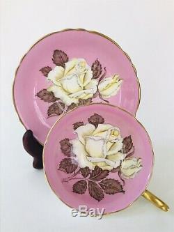 1940s Pink Paragon Huge White Cabbage Rose teacup A277 Beautiful