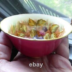 2 Aynsley Cups Saucers Orchard Fruit England Teacups D Jones Turquoise Cranberry