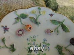 ANTIQUE MEISSEN PORCELAIN ENCRUSTED FLORAL INSECTS FRUIT TEA CUP SAUCER repaired