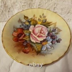 AYNSLEY CABBAGE ROSE TEACUP/SAUCER J. A. BAILEY on PALE YELLOW BACKGROUND
