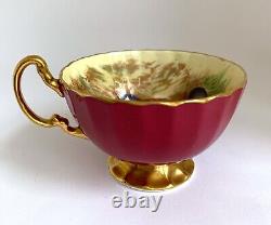 AYNSLEY FRUIT ORCHARD Tea Cup & Saucer Burgundy Red Maroon Signed D. Jones #1034