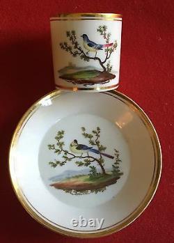 Antique 19th c. Dutch Amstel Porcelain Coffee Can Tea Cup & Saucer Bird Paris