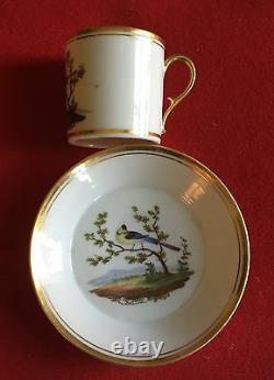 Antique 19th c. Dutch Amstel Porcelain Coffee Can Tea Cup & Saucer Bird Paris