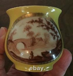 Antique 19th c. French Paris Porcelain Sevres Porcelain Tea Cup Yellow Sepia