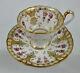 Antique Brown, Westhead & Moore Tea Cup & Saucer, C. 1850