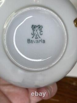 Antique Handpainted J & C Bavarian Fine Bone Tea Cup And Saucer Set O 6 RARE