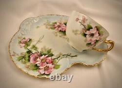 Antique Haviland Limoges Tea Cup & Biscuit Tray, Wild Roses