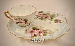 Antique Haviland Limoges Tea Cup & Biscuit Tray, Wild Roses