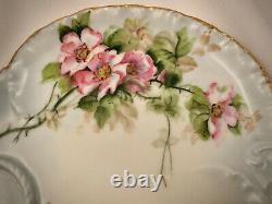 Antique Haviland Limoges Tea Cup & Biscuit Tray, Wild Roses