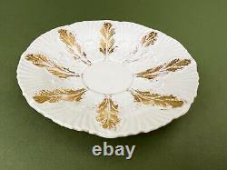 Antique Meissen Gold Gilt Acanthus Leaf Mocha Demitasse Tea Cup & Saucer