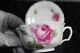 Antique Meissen Hand-painted Teacup & Saucer, Pink Rose Pattern, Ca 1852-1870