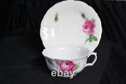Antique Meissen Hand-Painted Teacup & Saucer, Pink Rose Pattern, ca 1852-1870