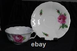 Antique Meissen Hand-Painted Teacup & Saucer, Pink Rose Pattern, ca 1852-1870