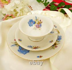 Antique Porcelain Germany Tea Cup Saucer Dinnerware Serveware Set C Grade Mark