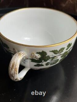 Antique Rare 19th Century Meissen Gilt/Gold Trim Full Green Vine Tea Cup/ Saucer