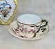 Antique Rare E. D. Bodley Tea Cup & Saucer Aesthetic Orchid Raised Branch Handle