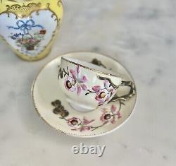 Antique Rare E. D. Bodley Tea Cup & Saucer Aesthetic Orchid Raised Branch Handle