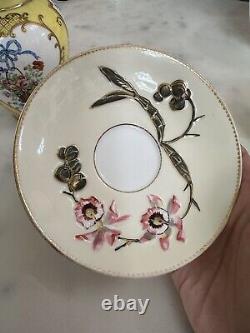 Antique Rare E. D. Bodley Tea Cup & Saucer Aesthetic Orchid Raised Branch Handle