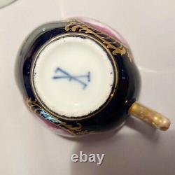 Antique Rare Hand-Painted Meissen Colln Porcelain Tea Cup +Saucer. 1900 Germany