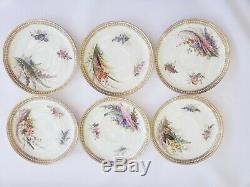 Antique Royal Worcester Bone China 6 Tea Cups 6 Saucers Botanical White Beads