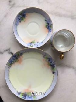 Antique Silesia Dessert Plates Teacups Saucers Hermann Ohme porcelain 1900-1920
