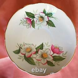 Antique Tea Cup And Saucer