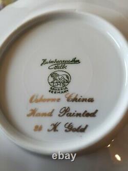 Antique Victorian Violets Tea Set Hutschenreuther Plates Cups Saucers 17pcs