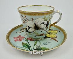 Antique Worcester Tea Cup & Saucer, Butterflies, Jeweled