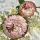 Anysley Butterfly On Chysanthemum Tea Cup And Saucer