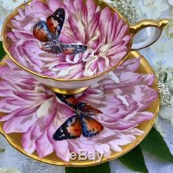 Anysley butterfly on chysanthemum tea cup and saucer