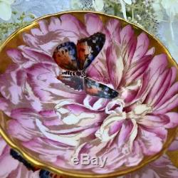 Anysley butterfly on chysanthemum tea cup and saucer