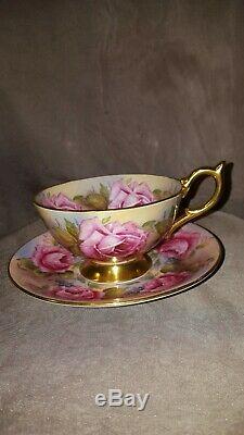 Aynsley Cabbage Roses Footed Teacup and Saucer Set C1026 Rare Bone China