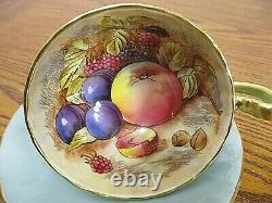 Aynsley England Bone China Tea Cup And Saucer Orchard Fruit Green