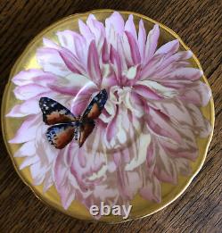 Aynsley Rare Pink Chrysanthemum & Butterfly Gold Tea Cup And Saucer, England