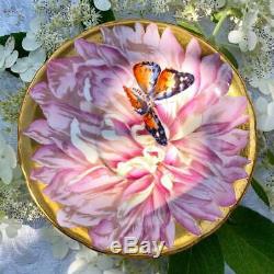 Aynsley butterfly chysanthemum tea cup and saucer