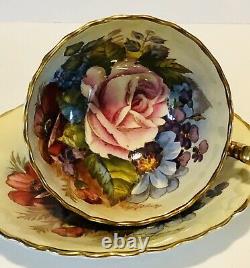 Bailey Rose Stunning Aynsley Cabbage Rose Teacup and Saucer Gold