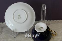 Beautiful Aynsley Cobalt Blue D. Jones Fruit Center Tea Cup And Saucer